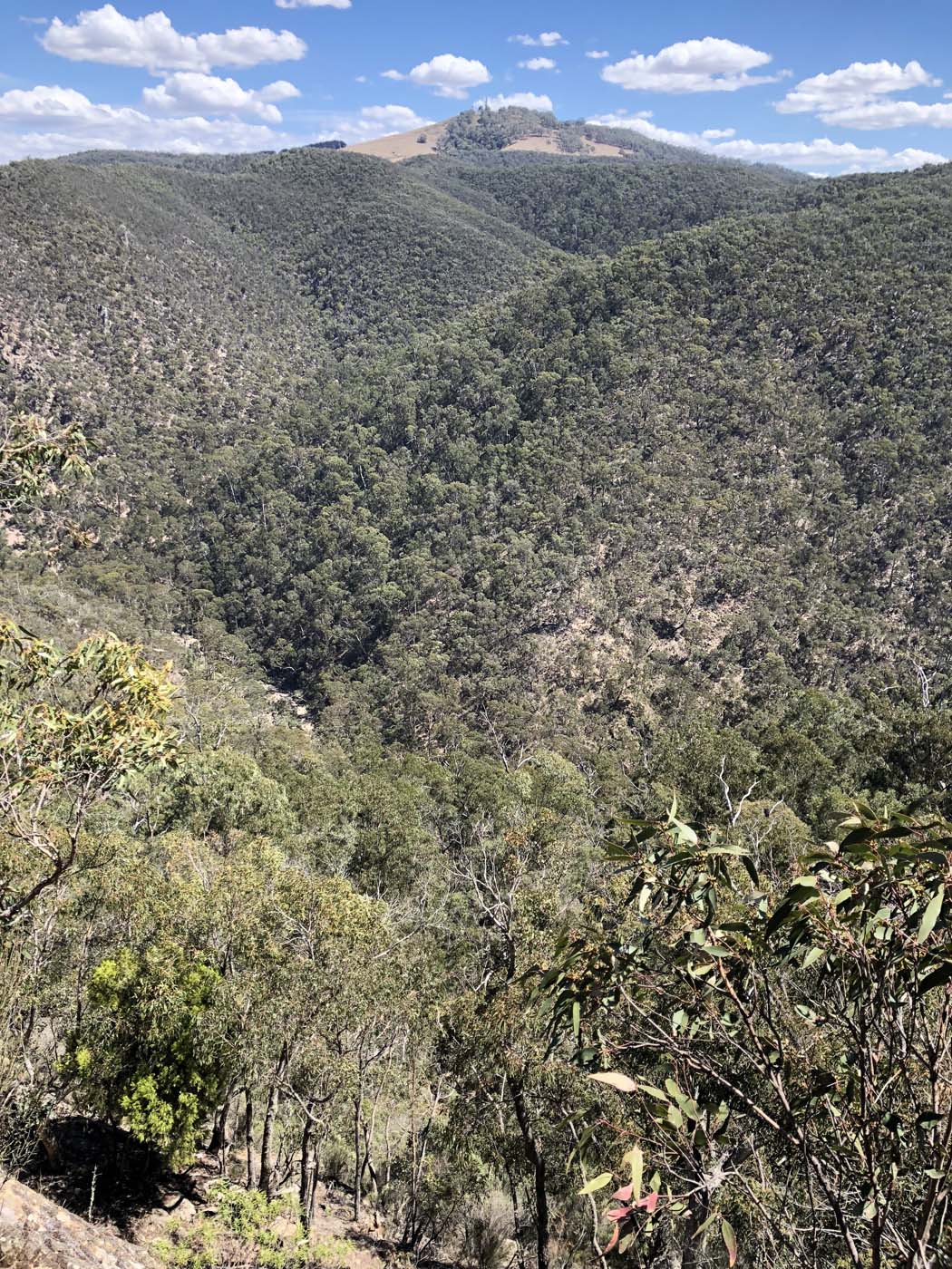 Old river lerderderg (12)