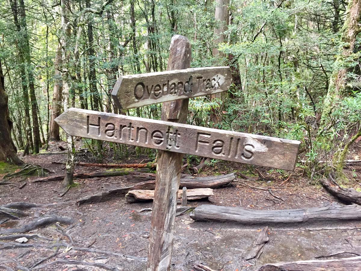 Overland track tasmania hike 190