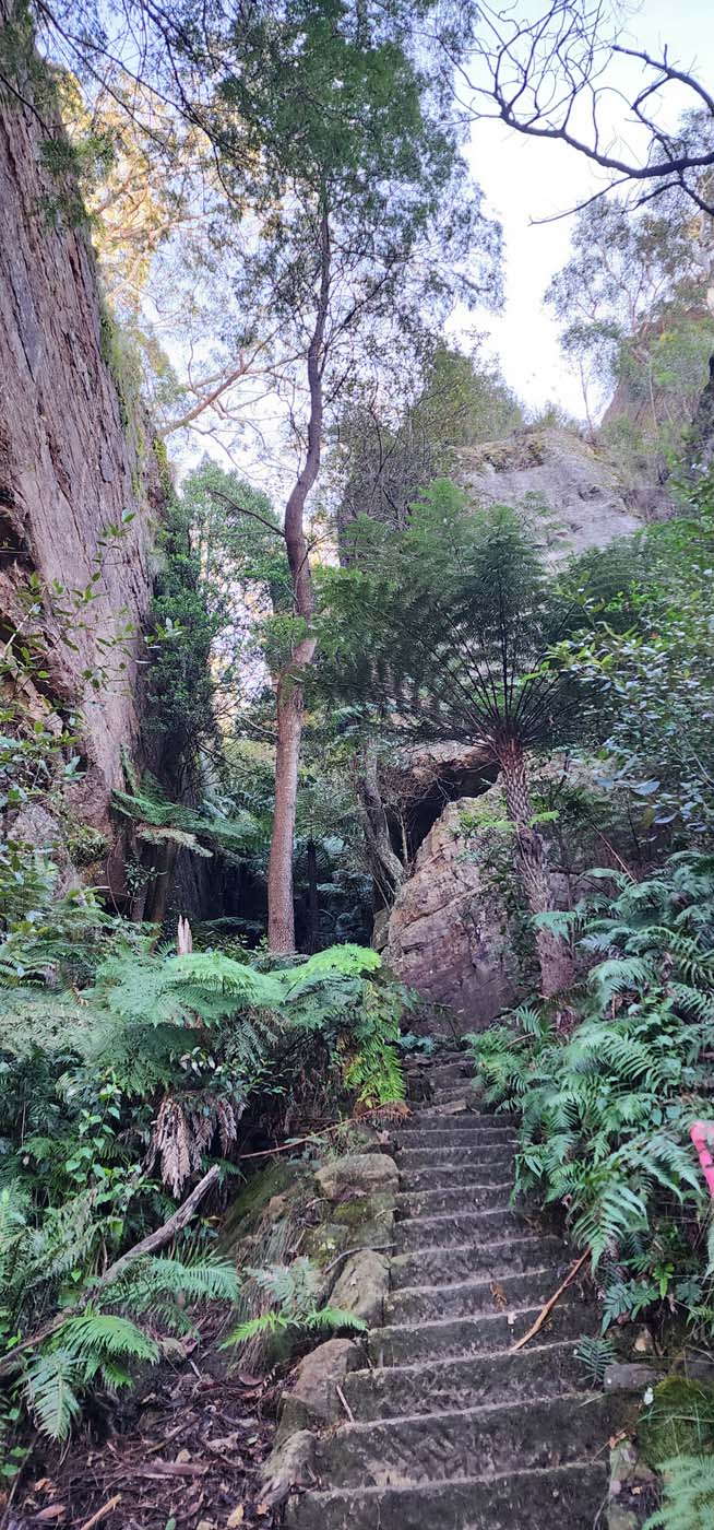 Perrys lookdown to blue gum forest (2)