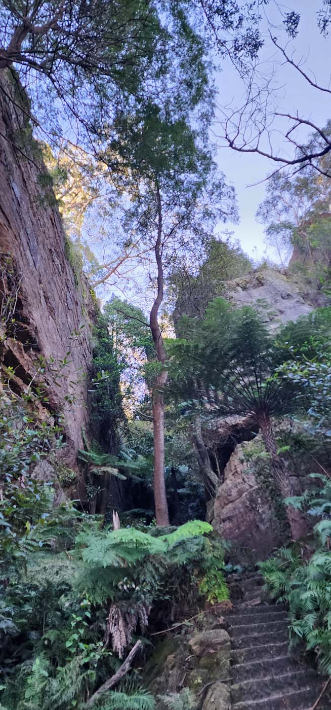 Perrys lookdown to blue gum forest (3)