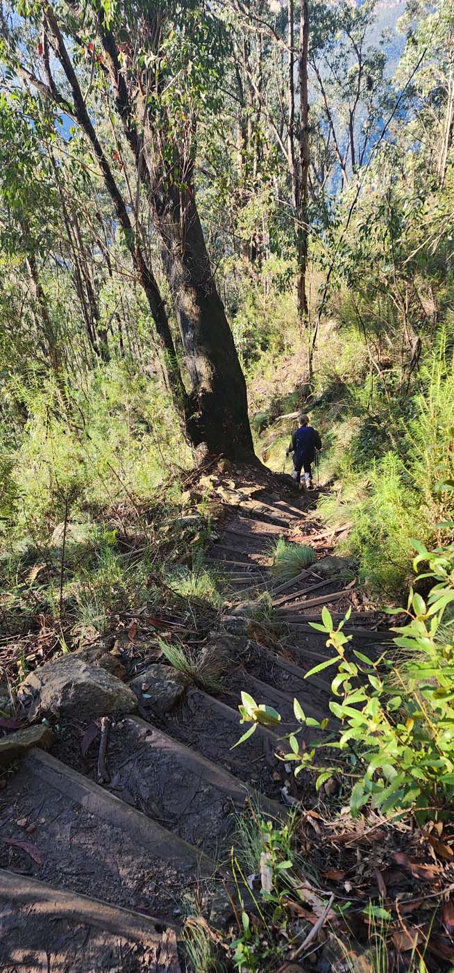 Perrys lookdown to blue gum forest (4)