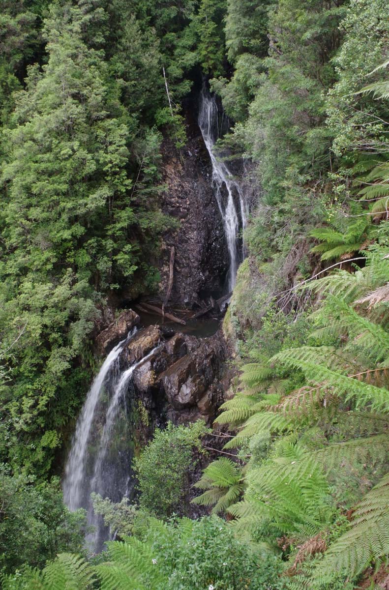 Philosopher falls walk