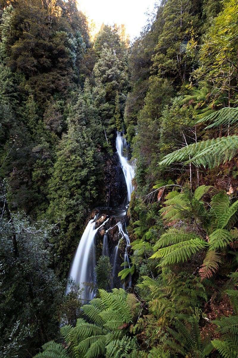 Philosopher falls
