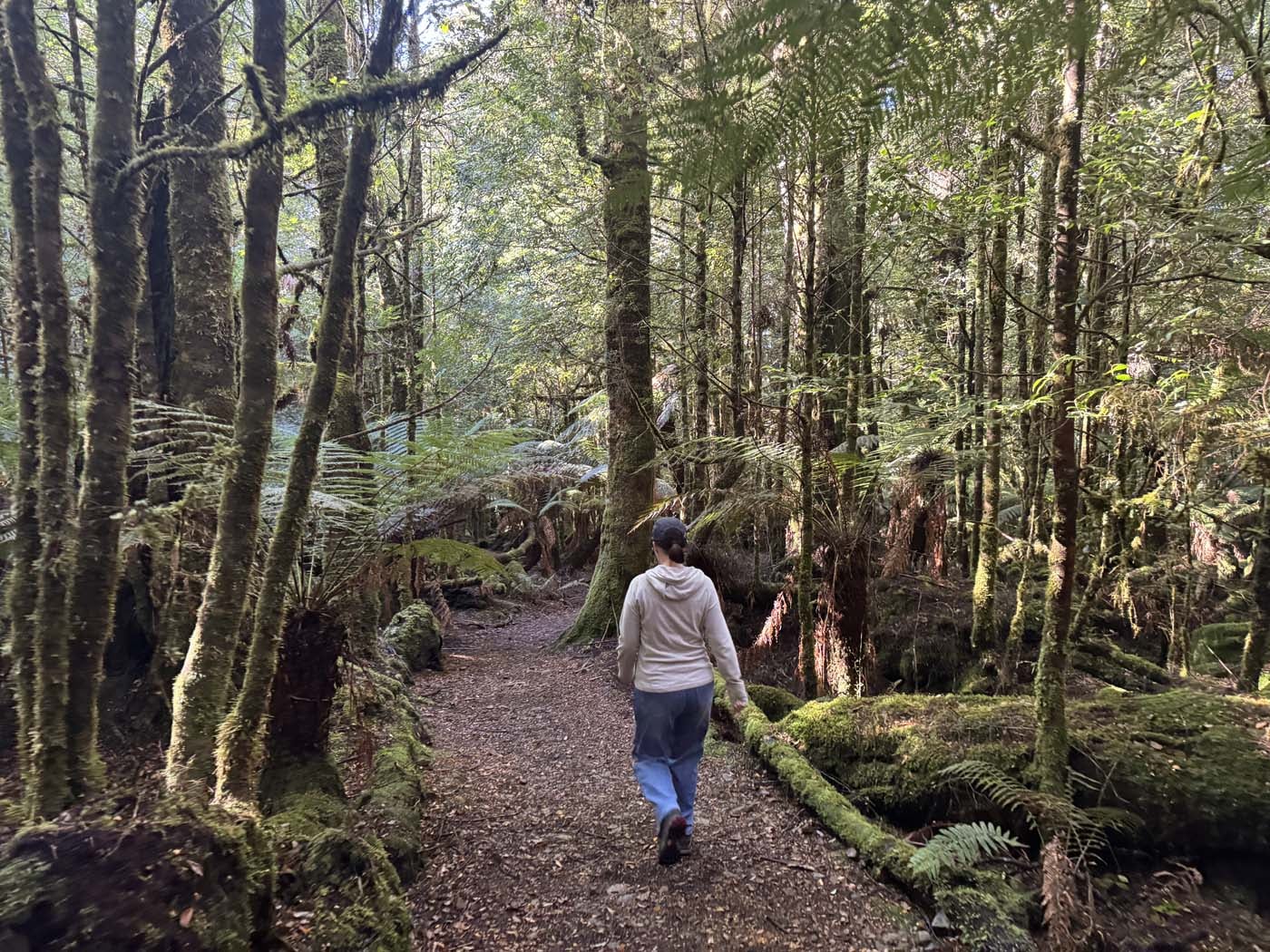 Philosopher falls walk (1)