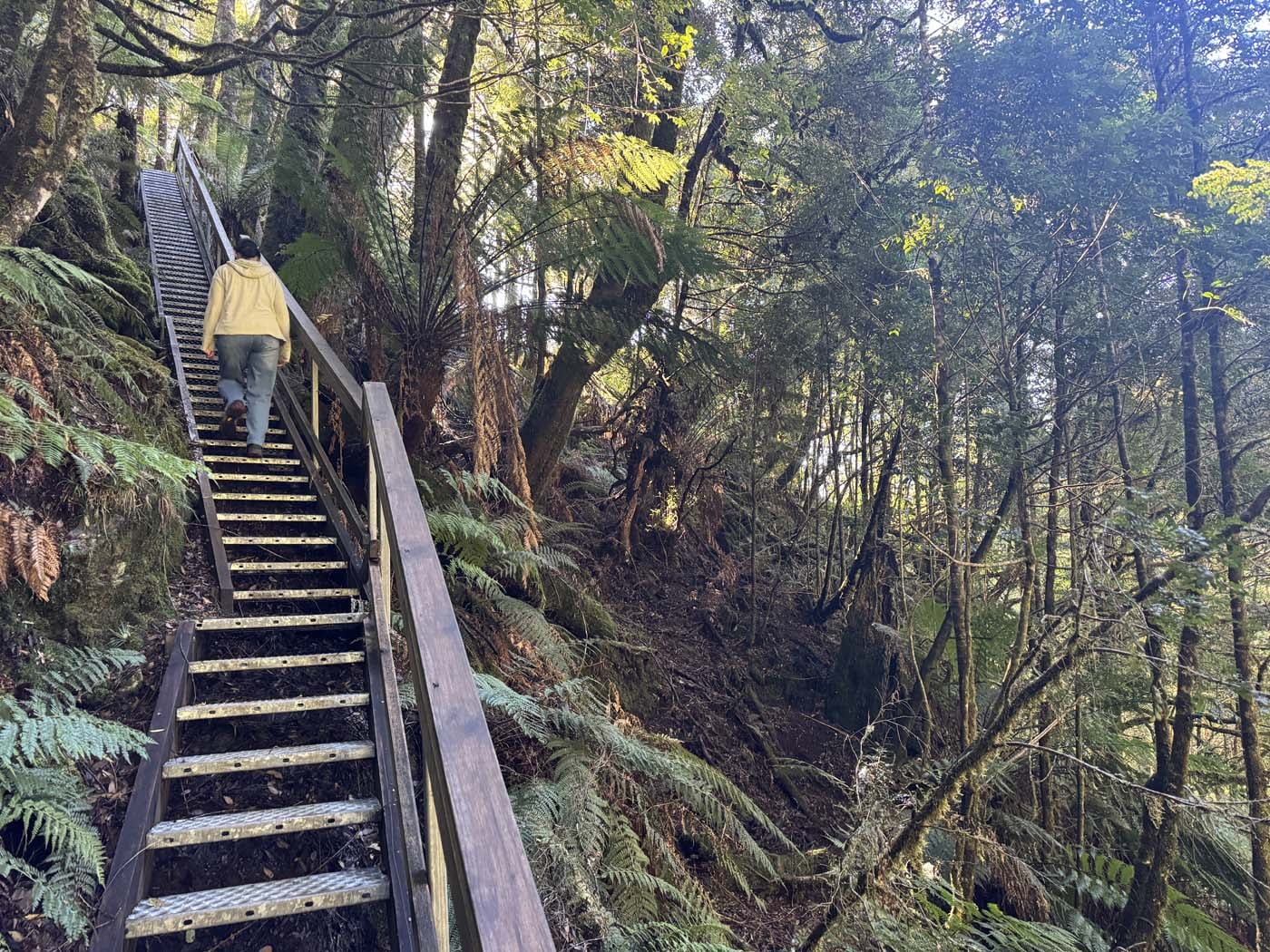 Philosopher falls walk (10)