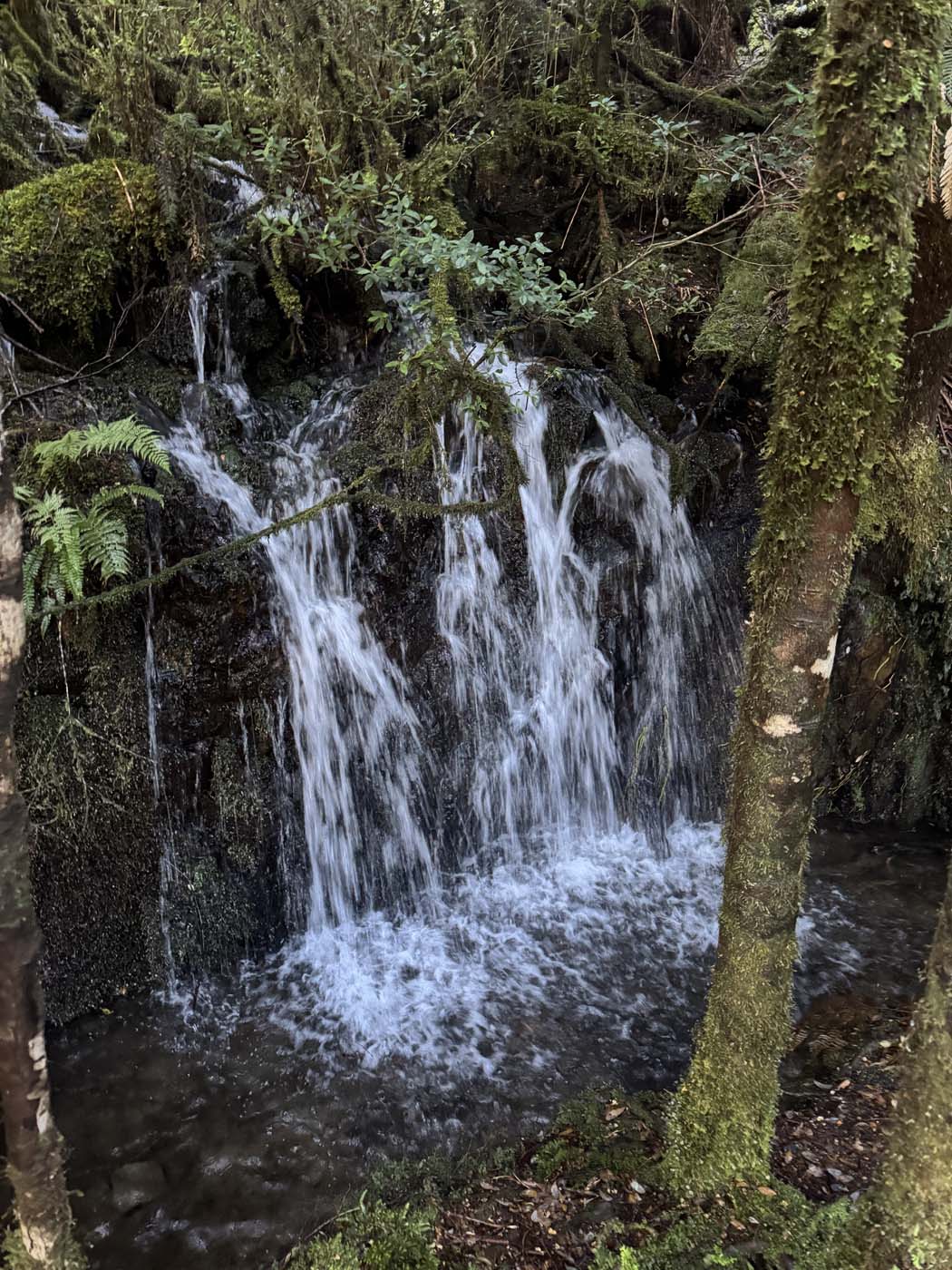 Philosopher falls walk (3)