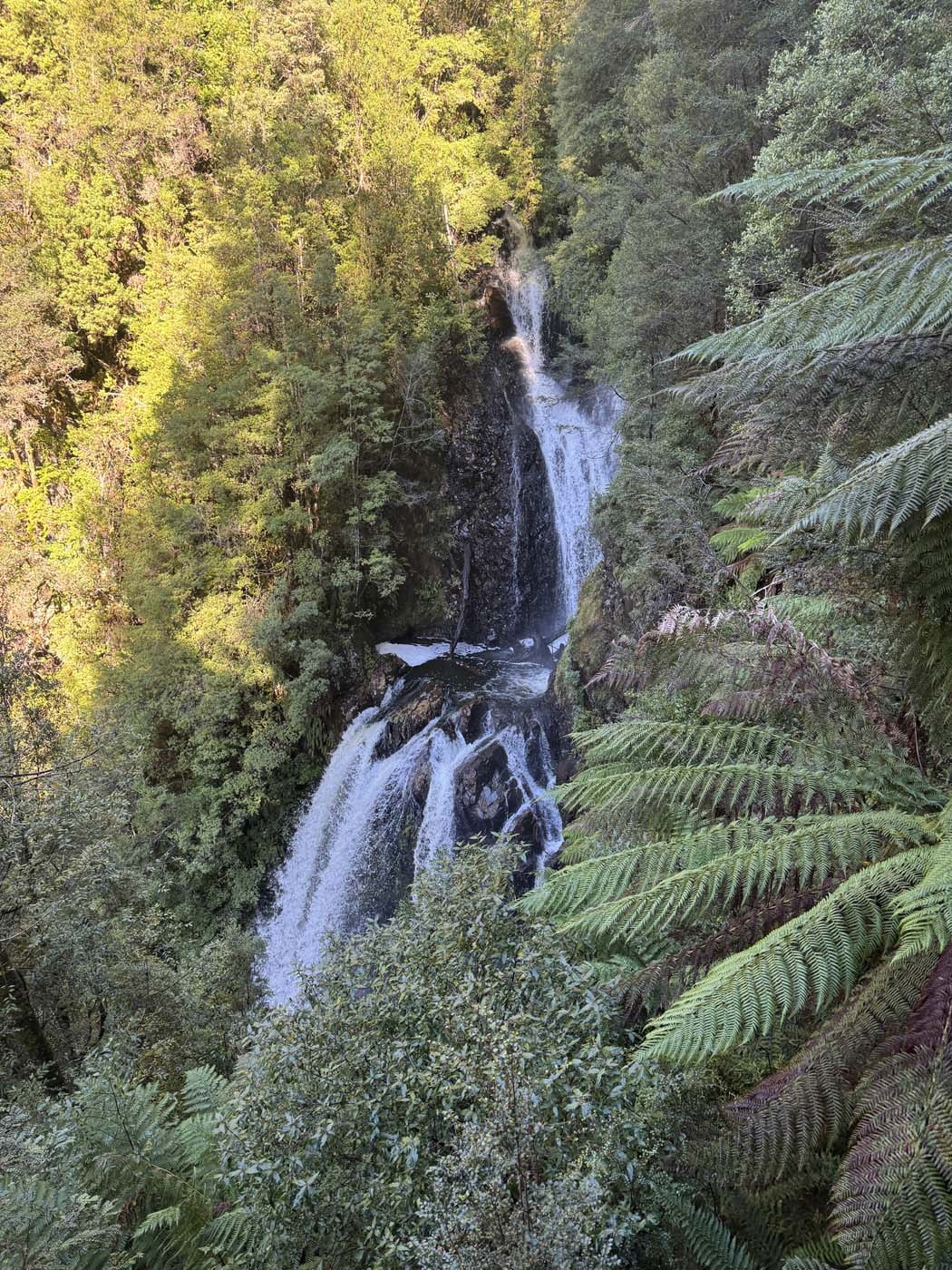 Philosopher falls walk (5)