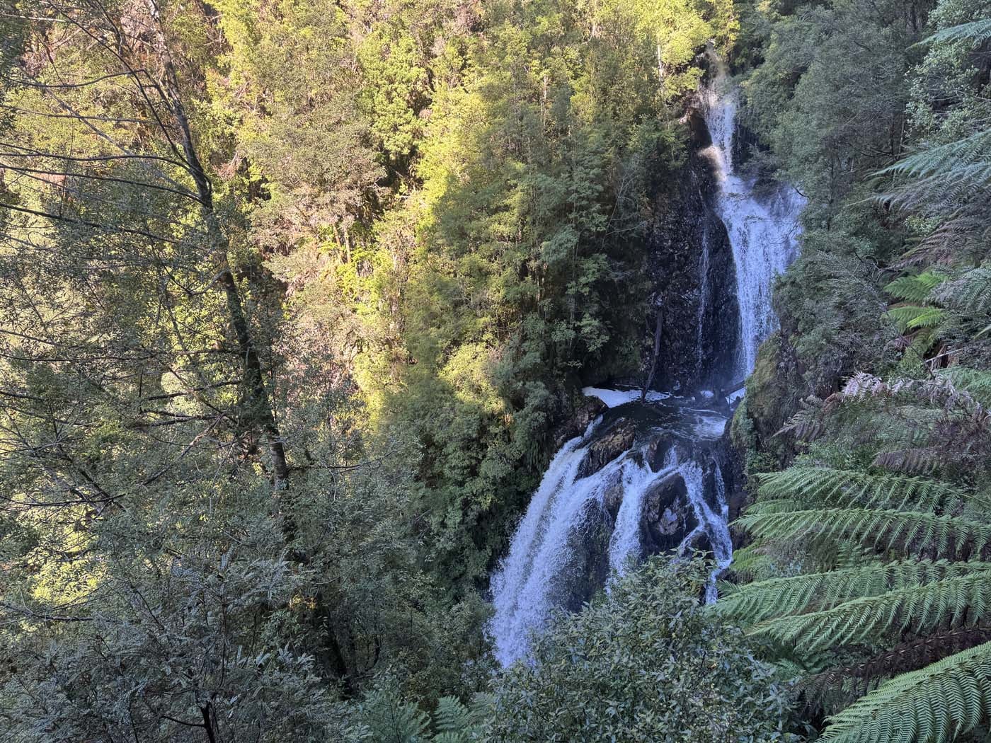 Philosopher falls walk (6)