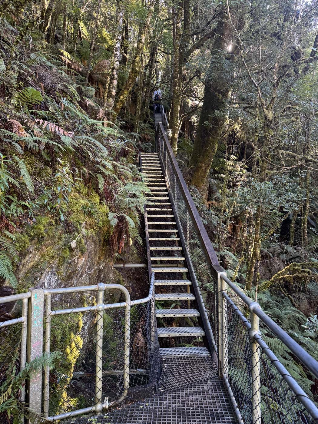 Philosopher falls walk (7)
