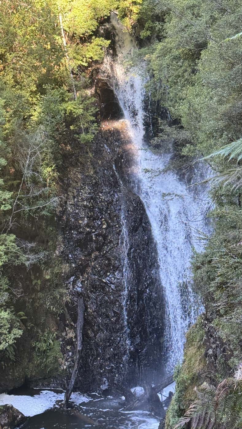 Philosopher falls walk (8)