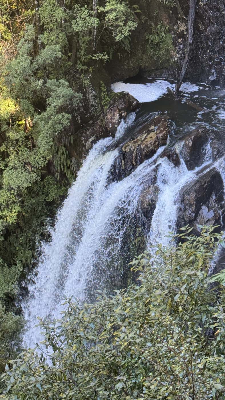 Philosopher falls walk (9)