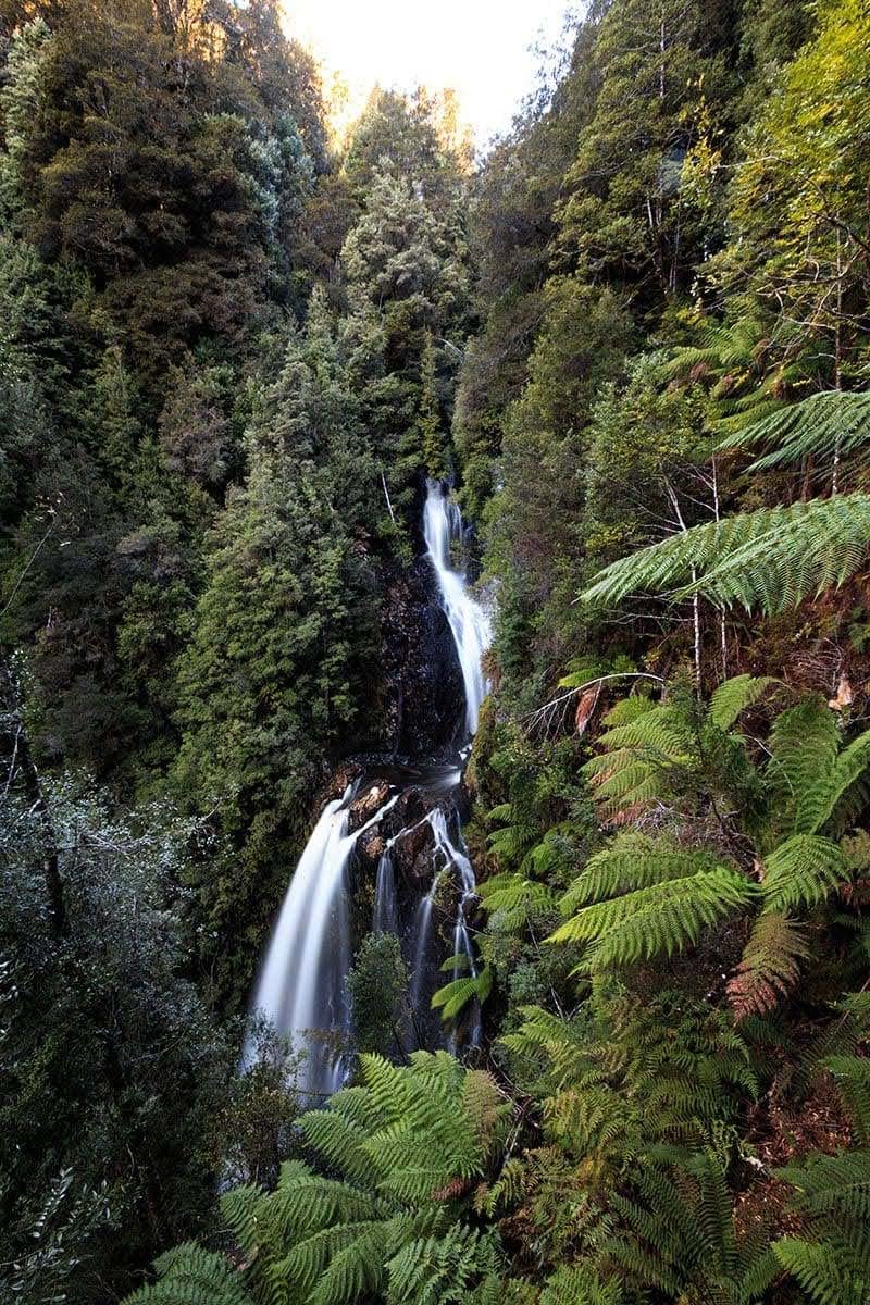 Philosopher falls
