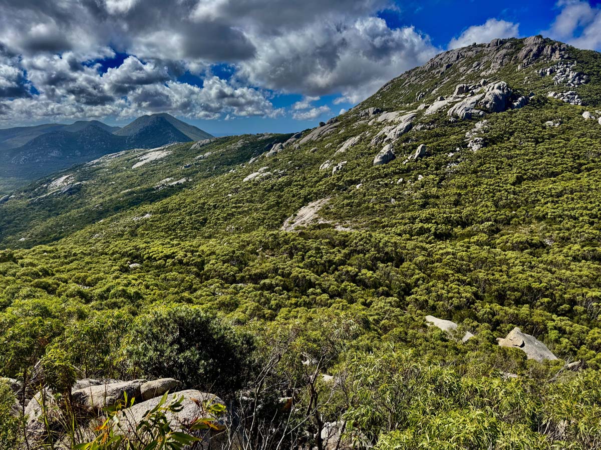 Pillingers peak 10