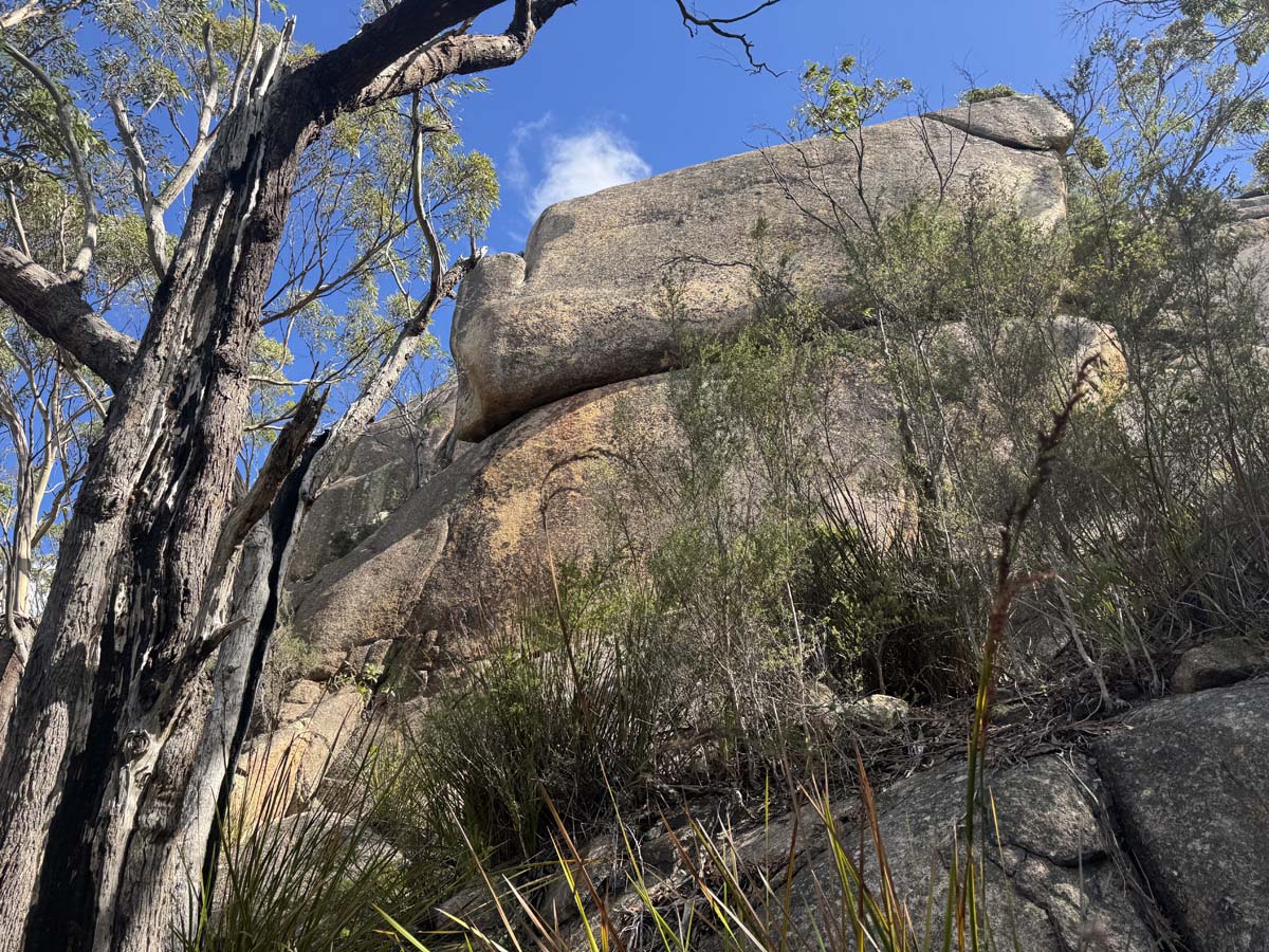 Pillingers peak 6