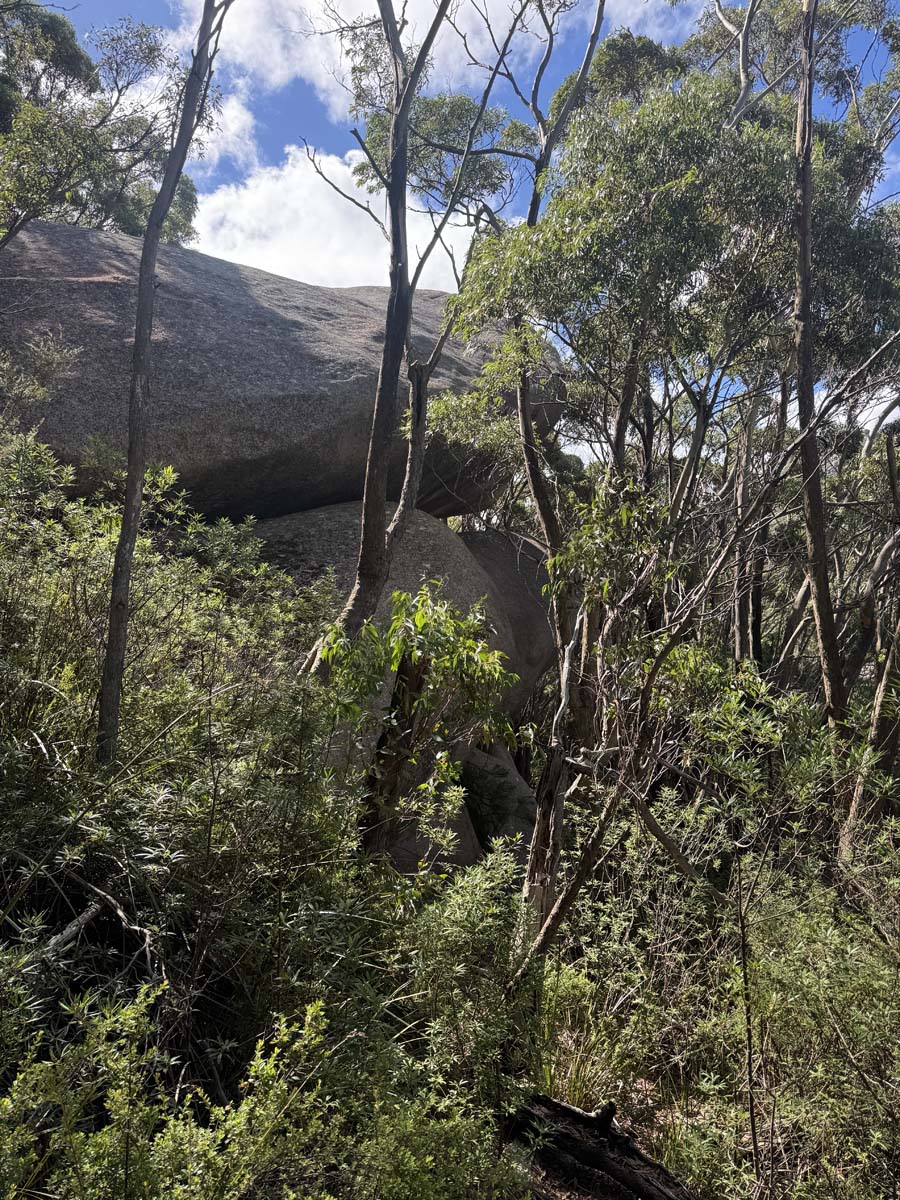 Pillingers peak 7