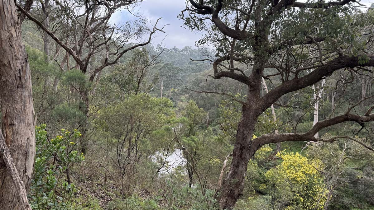 Plenty gorge river hike 1