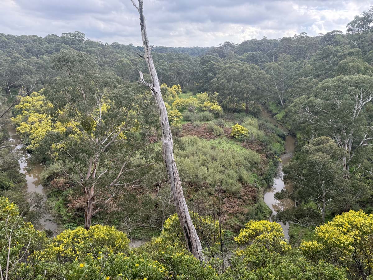 Plenty gorge river hike 10