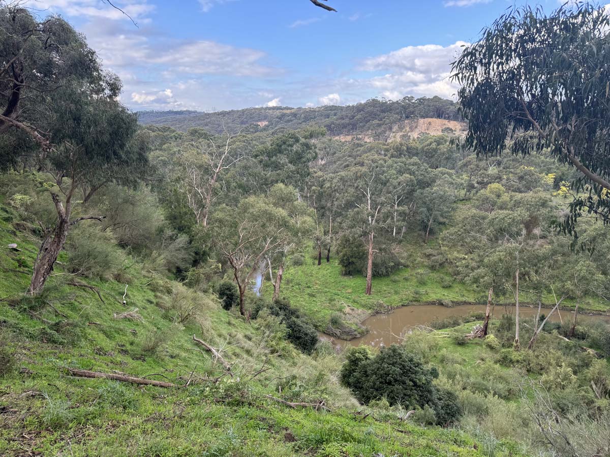 Plenty gorge river hike 13