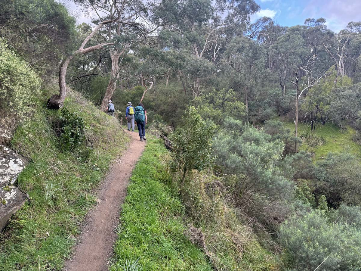 Plenty gorge river hike 14