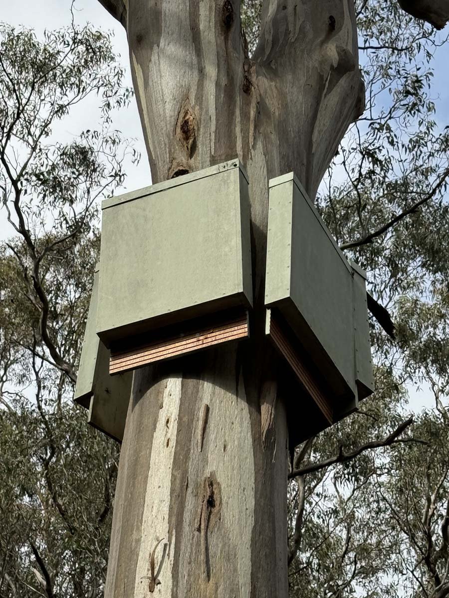 Plenty gorge river hike 2
