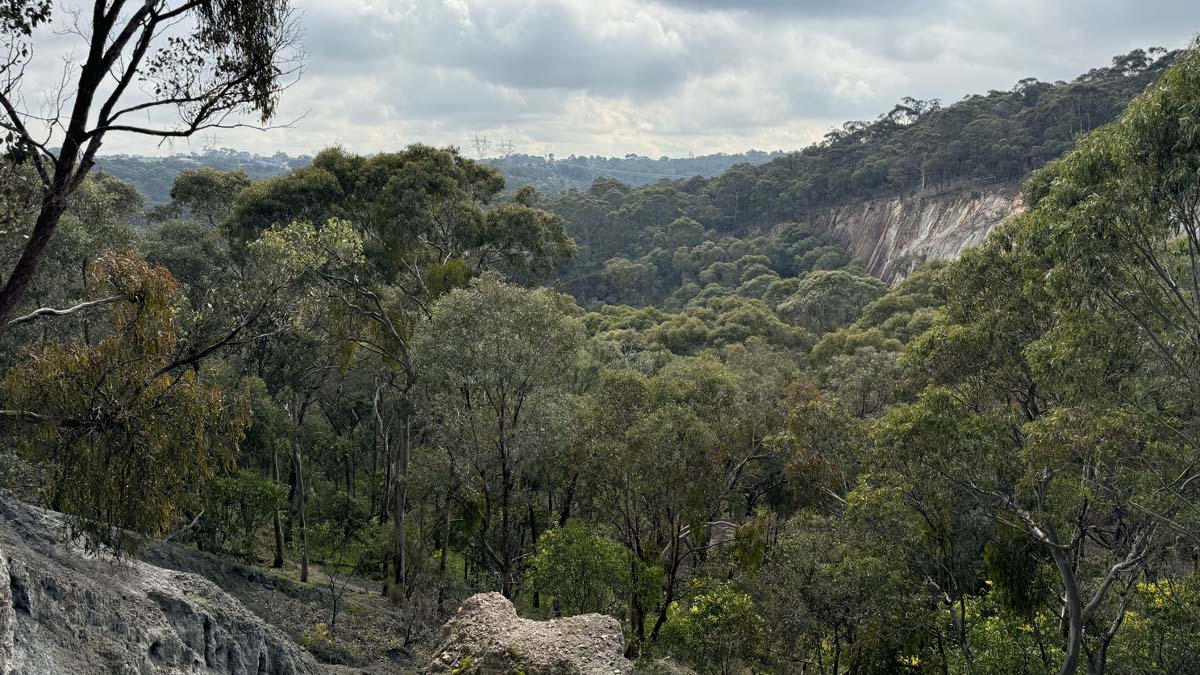 Plenty gorge river hike 3