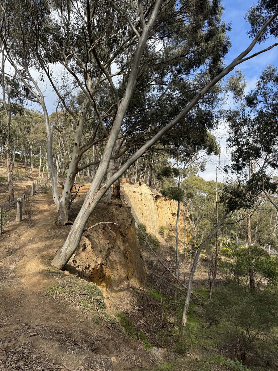 Plenty gorge river hike 4