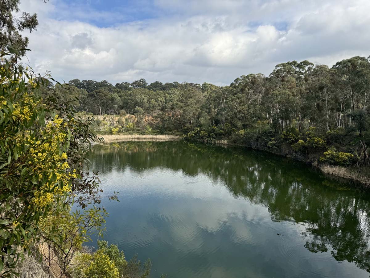 Plenty gorge river hike 5