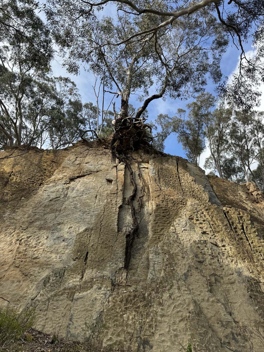 Plenty gorge river hike 6