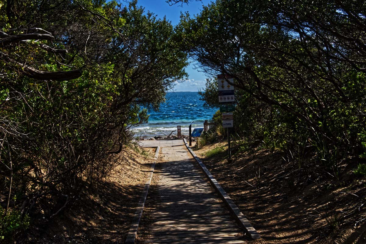 Point nepean walk 2
