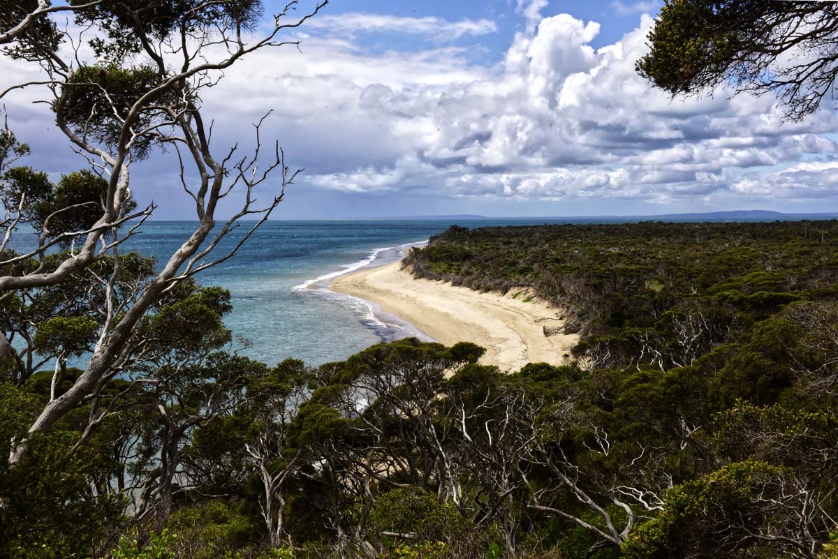 Point nepean walk 41