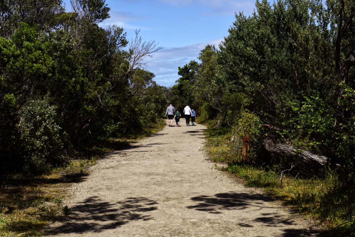 Point nepean walk 5
