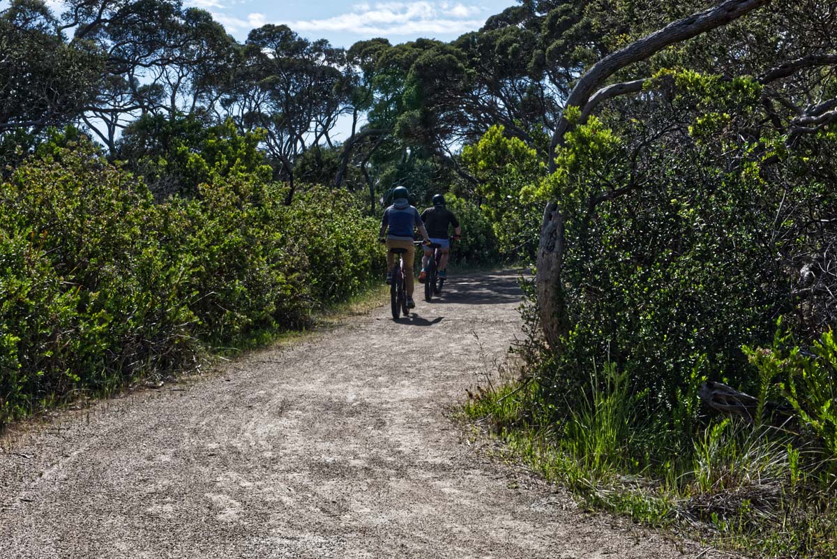 Point nepean walk 6