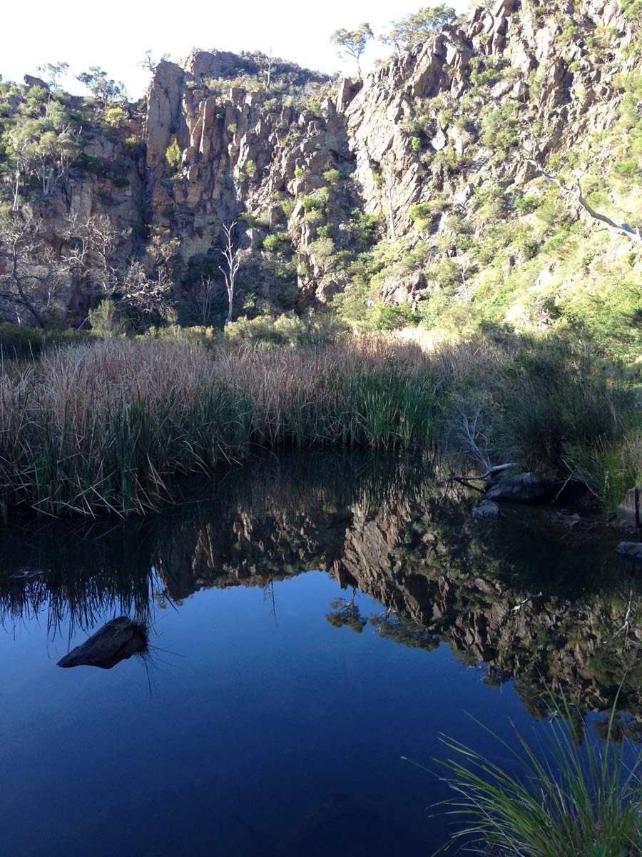 Pyramid rock ironbark gorge hike 22
