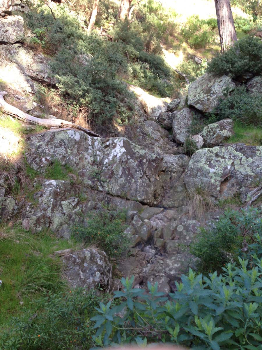 Pyramid rock ironbark gorge hike 29