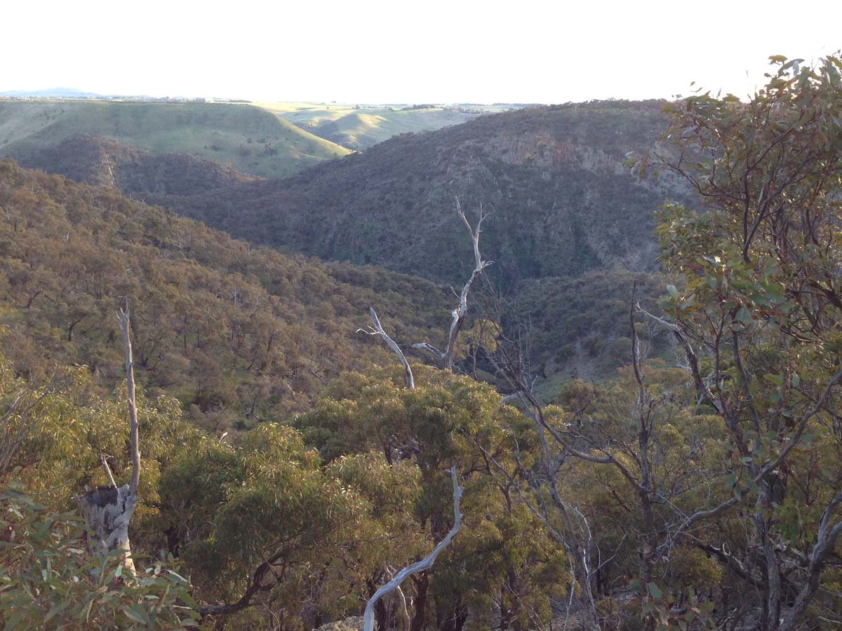 Pyramid rock ironbark gorge hike 34