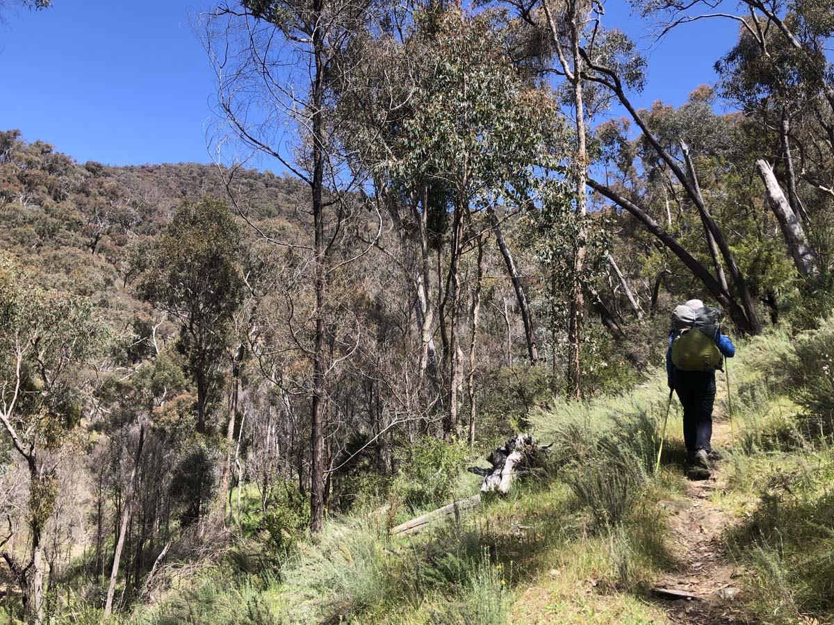 Pyrenees endurance walk 3