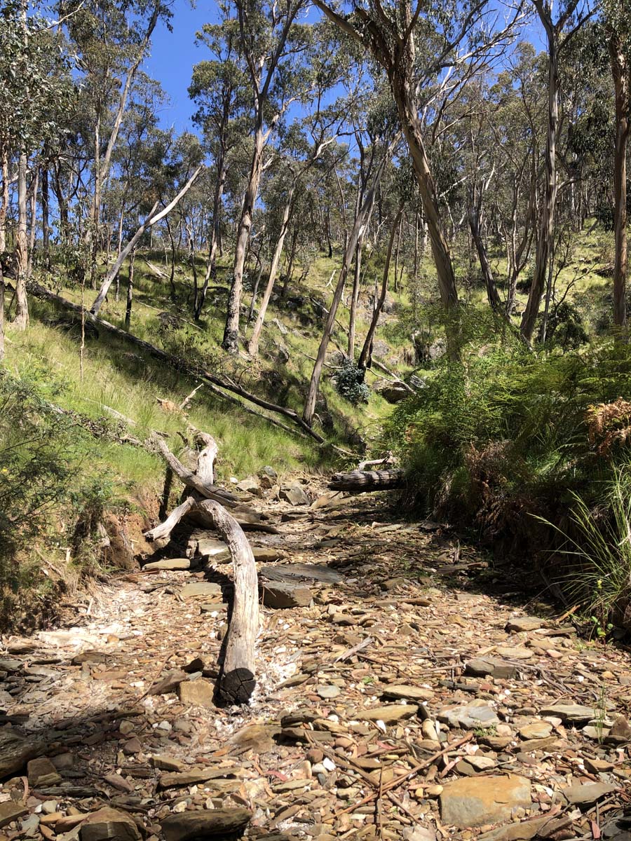 Pyrenees endurance walk 40