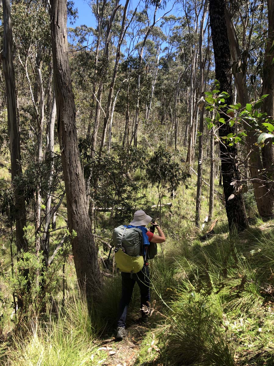 Pyrenees endurance walk 6