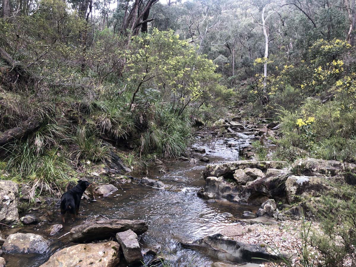 Pyrete range northern loop hike 13