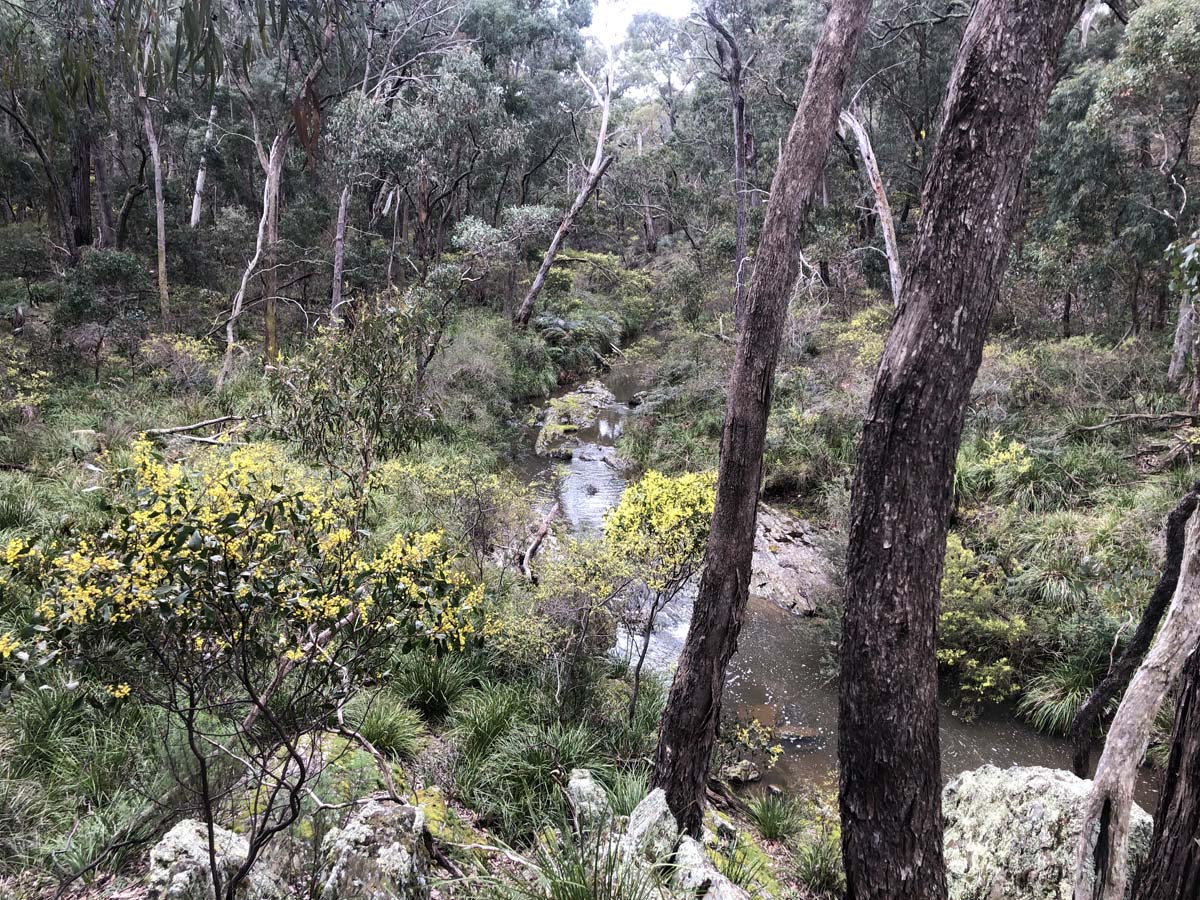Pyrete range northern loop hike 14