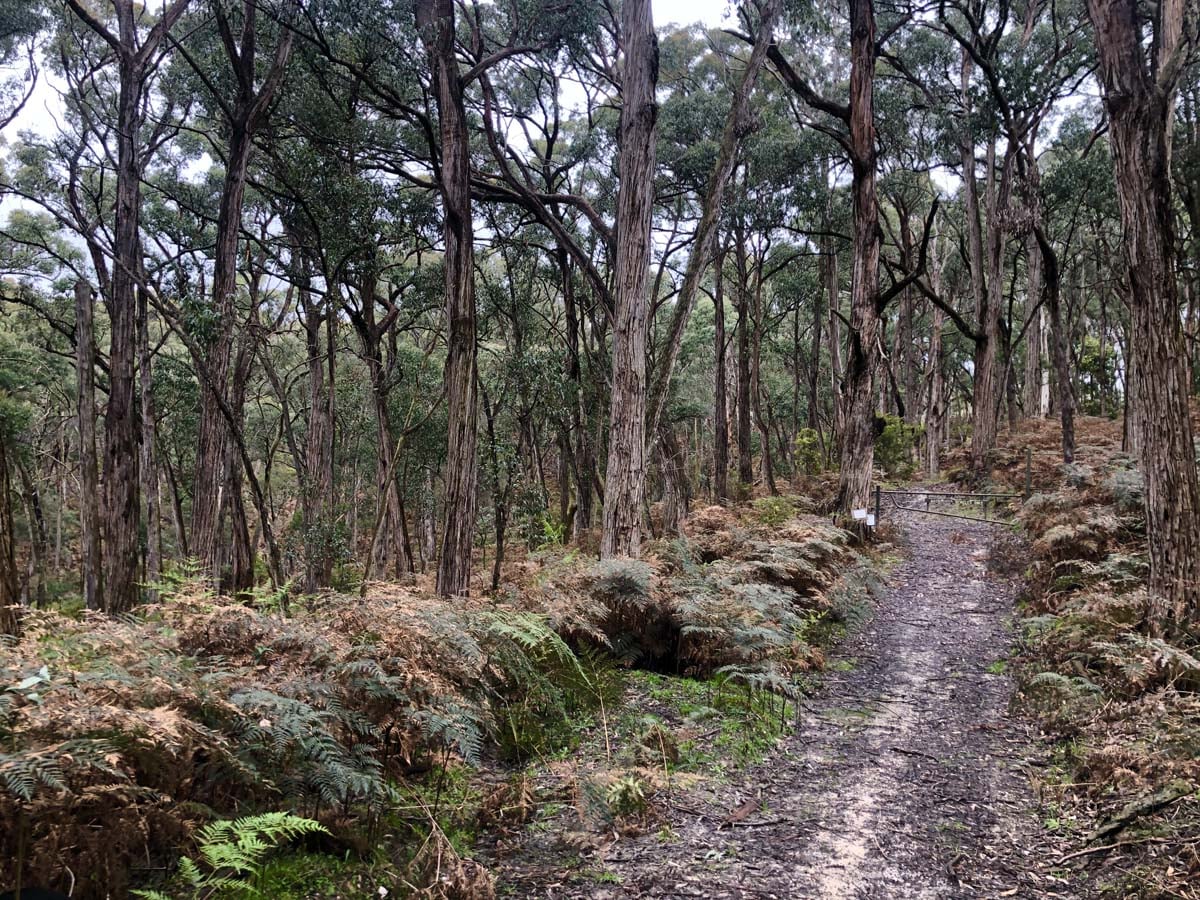Pyrete range northern loop hike 2