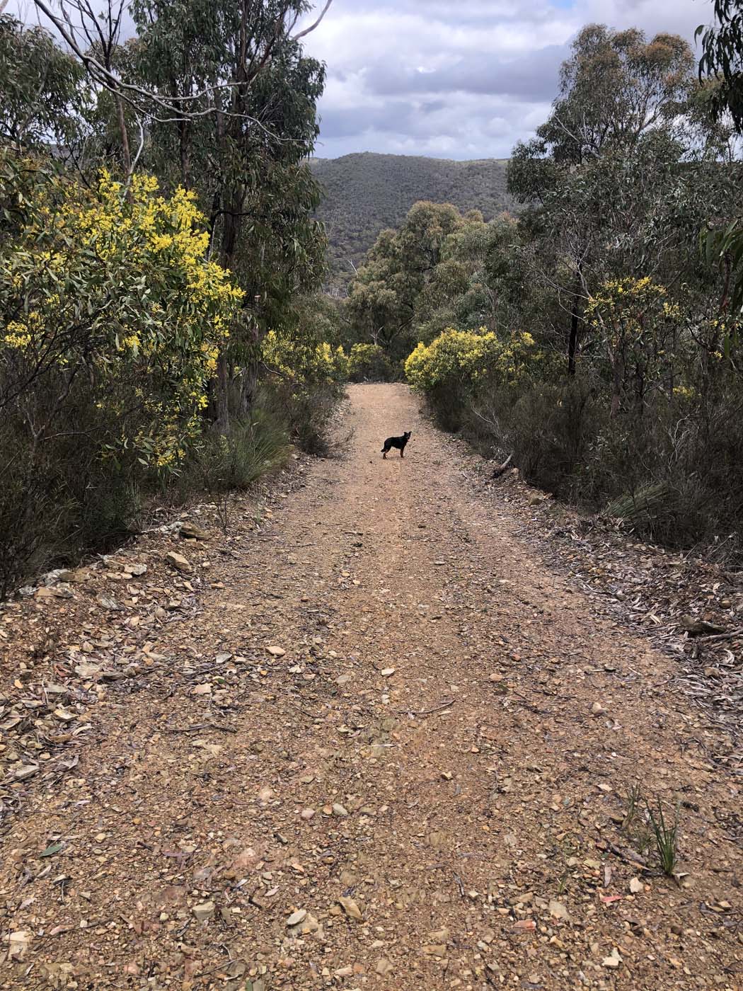 Pyrete range traverse (11)