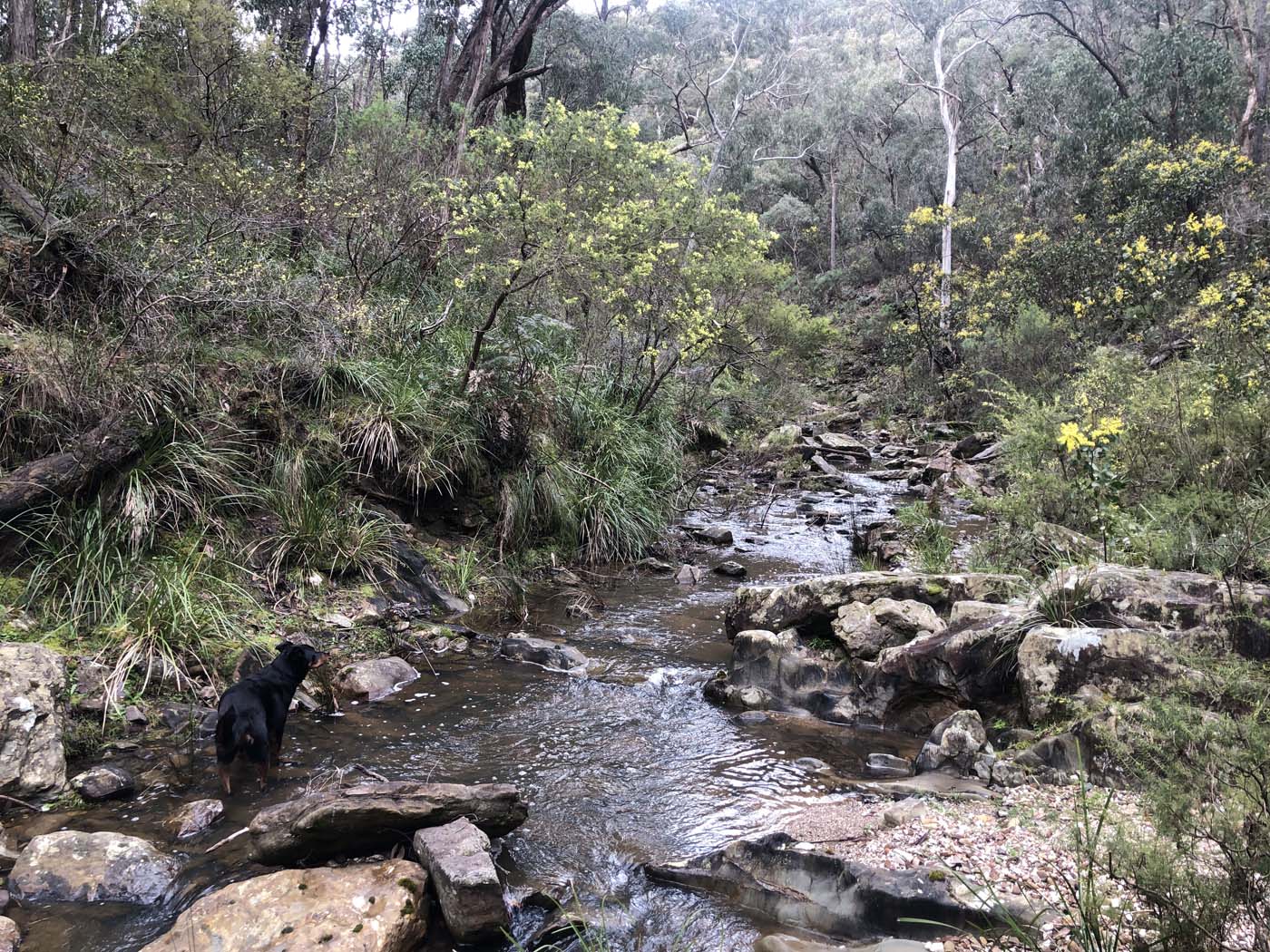 Pyrete range traverse (13)