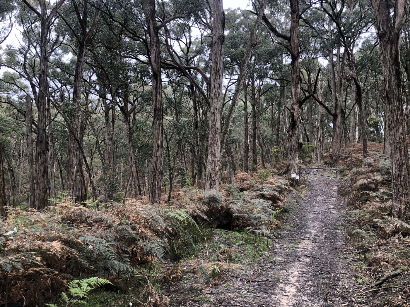 Pyrete range traverse (2)