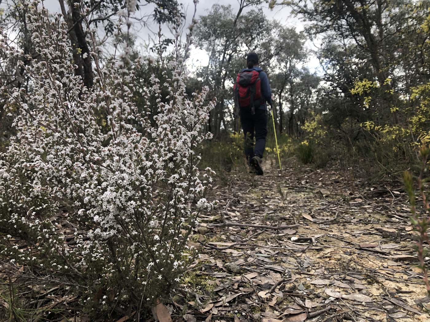 Pyrete range traverse (21)