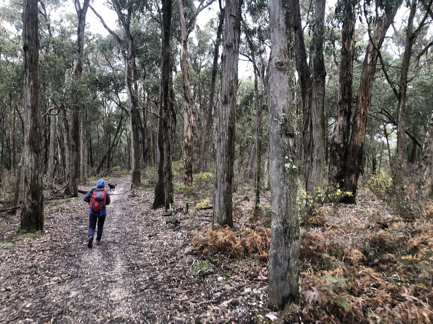 Pyrete range traverse (3)