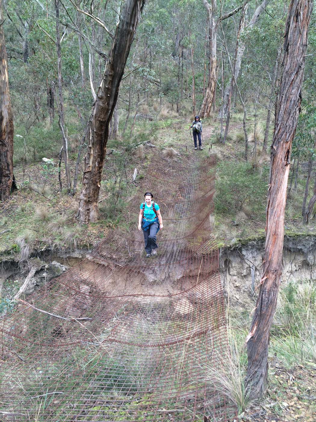 Pyrites creek & sugarloaf hike (49)