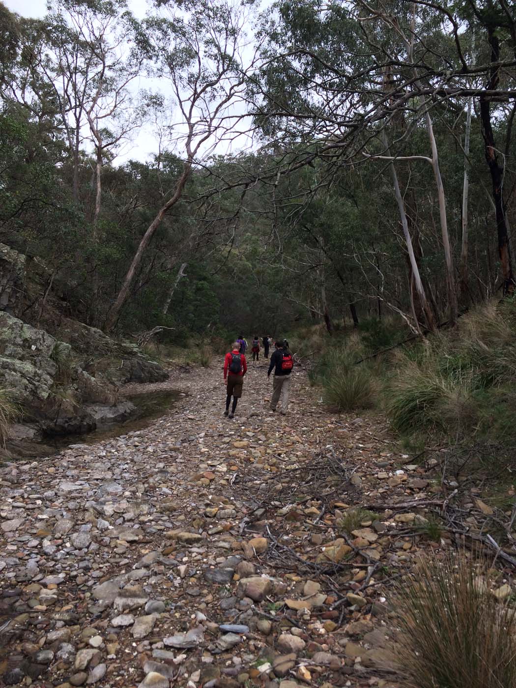 Pyrites creek & sugarloaf hike (52)