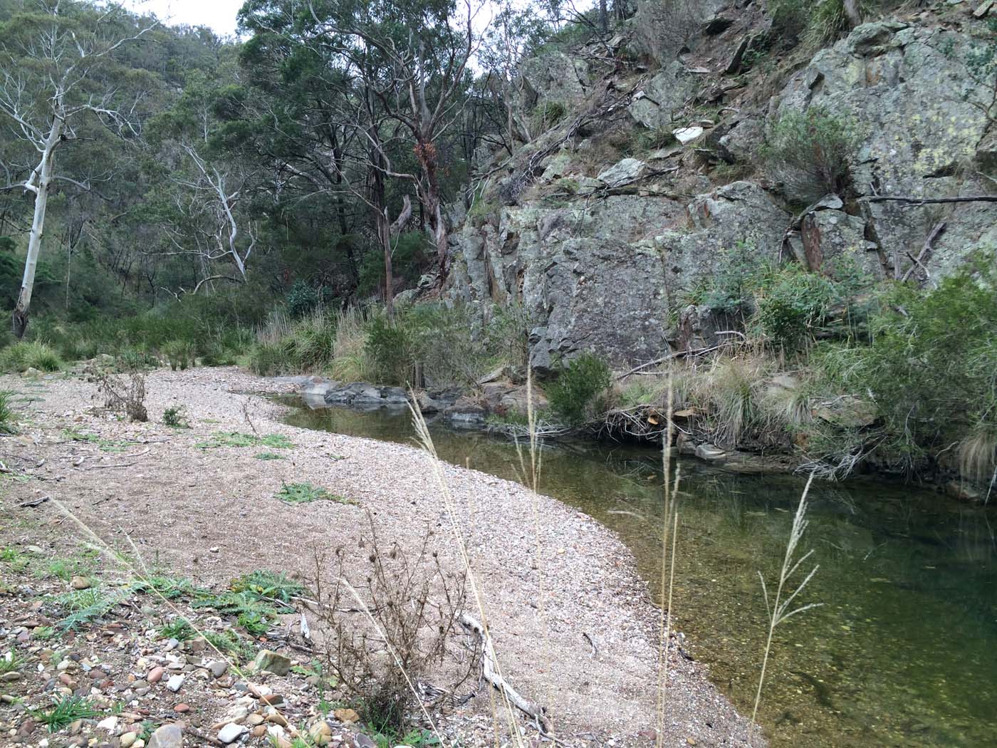 Pyrites creek & sugarloaf hike (53)