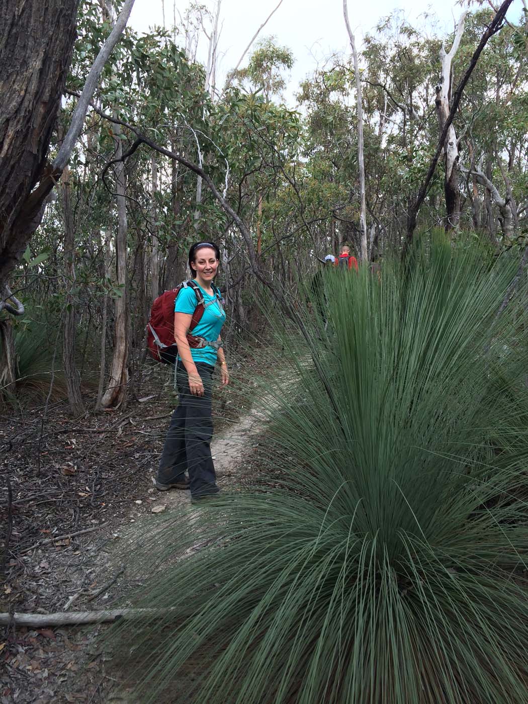 Pyrites creek & sugarloaf hike (54)